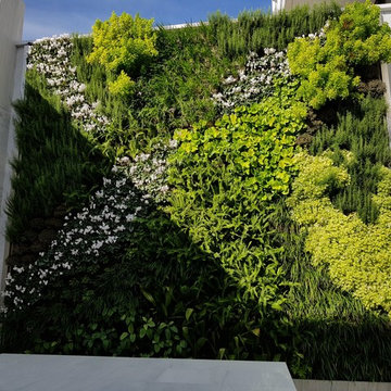 Makedonia Palace Hotel vertical garden