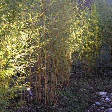GIARDINO PRIVATO B.F.