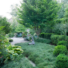 grasses
