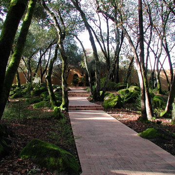 Walkways and paths
