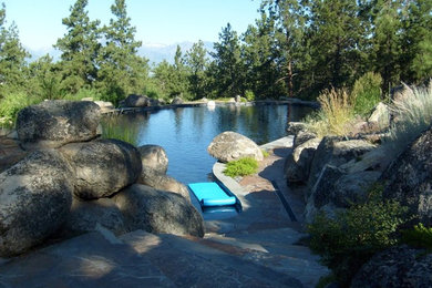 Pool - large craftsman backyard stone and custom-shaped natural pool idea in Other