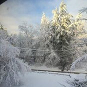 Denise McAdoo's photo