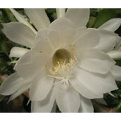 Debbie Renner's photo