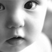 Stephanie Pressler's photo