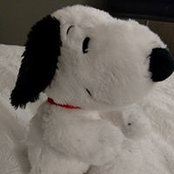 Angie McGrew's photo
