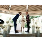 Michael Gibson's photo