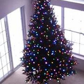 Sue Malec Pasco's photo