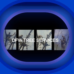 Arlington Tree Removal Services