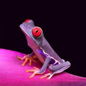 Kimberly Whaley's photo