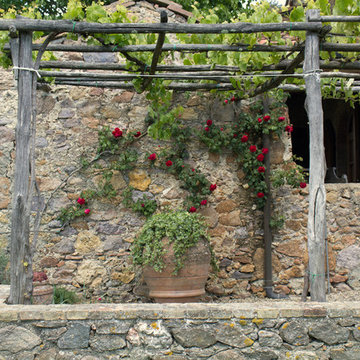 Patio con pergola rustica