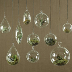 HomArt - Products