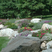 Rocks