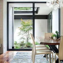 10 Best Trees For A Court Yard