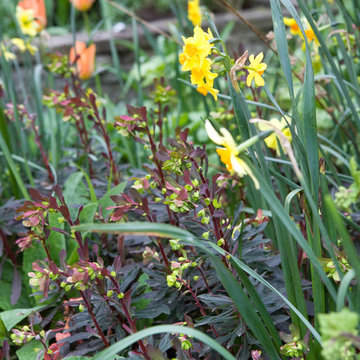 The Orangerie - Spring