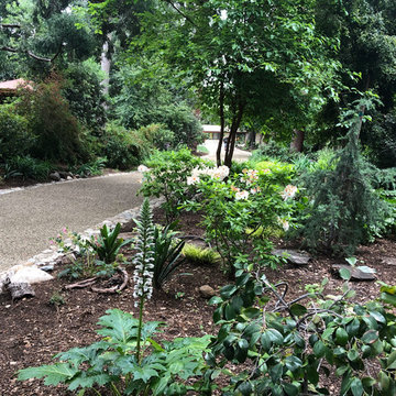 Cracked Concrete, converted to a Stabilized & Eco-Friendly Gravel Driveway..