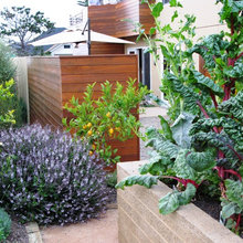 edible landscape