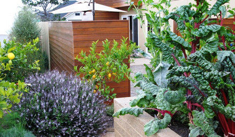 10 Beautiful Edibles to Add to Your Garden