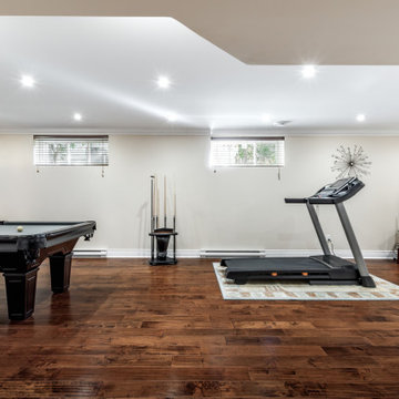Basement Remodeling Near Oswego