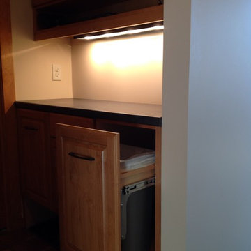 Birchwood addition and remodel