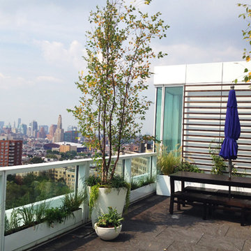Prospect Heights Gardens