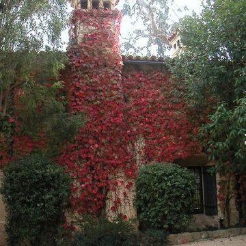 Mediterranean Country House
