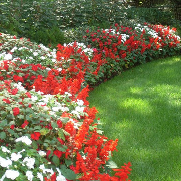 Flower Beds and Borders