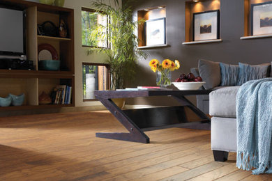 Trendy medium tone wood floor and brown floor living room photo in Denver