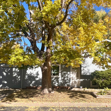Granite Gray, Tracey Parkway, Fort Collins