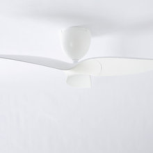 ceiling fans