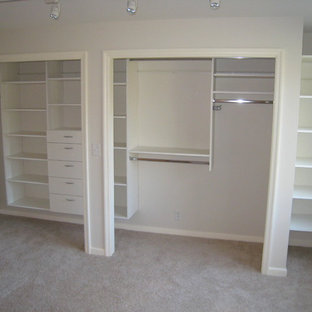 ミネアポリスの中サイズのトラディショナルスタイルのおしゃれな住まいの写真