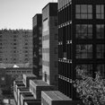 Foto di profilo di Luca Mosconi Fotografia