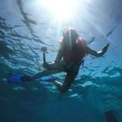 Nicole Nesrsta's photo