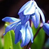 Jeanne Murphy's photo