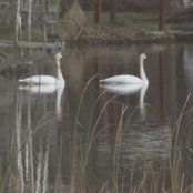 Corinne Fleming's photo