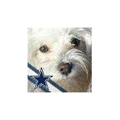 Rene O'Connor's photo