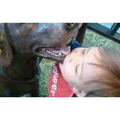 Amy Luong's photo