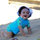 ripil