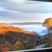 Foto von Paula Hyman