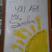 Paula Ewing's photo