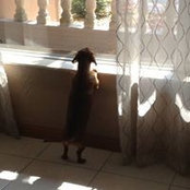 Aurora Gonzalez's photo