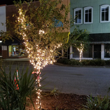 City of Palatka Holiday Lights 2017
