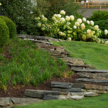 Paths and steps