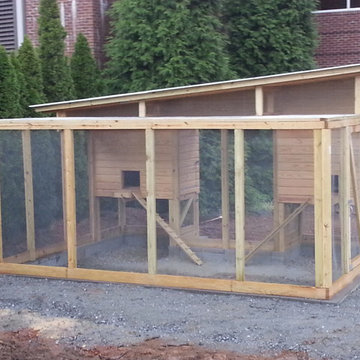 Extra Large Chicken Coop Combo