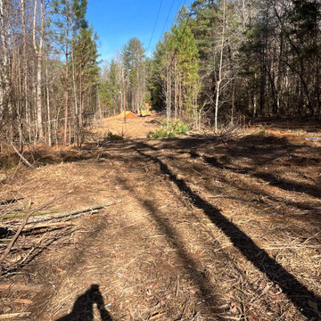 Landscaping , yard clean up trash and debris