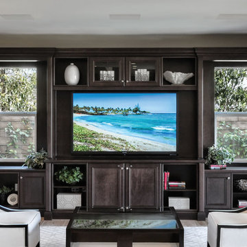 Home Media Living Rooms