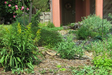 This is an example of a garden in Austin.