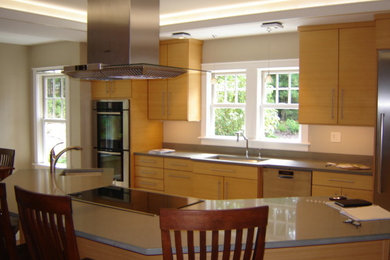 Trendy kitchen photo in Boston