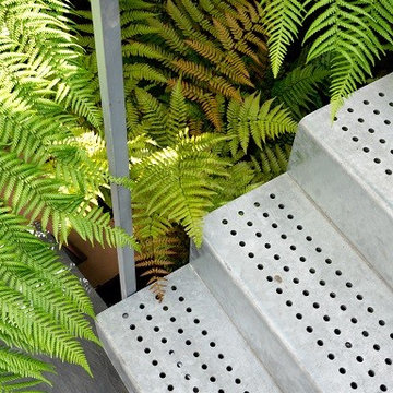 House in Holland Park 2