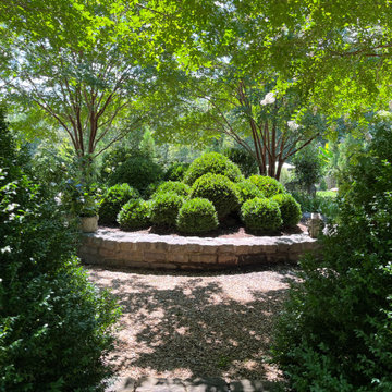 Boxwood Cloud