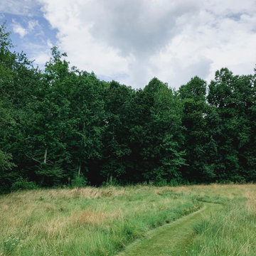 Grass Path Landscaping